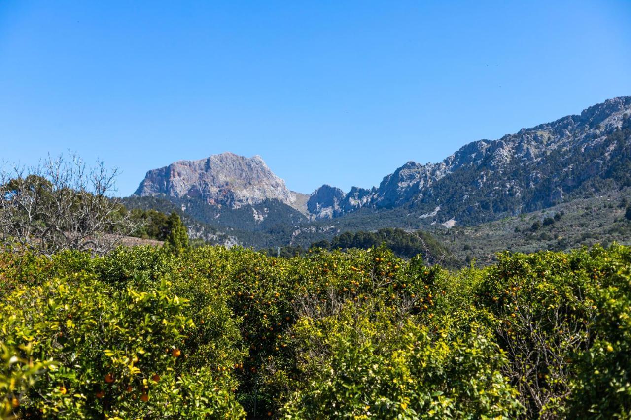 Villa Florida Fornalutx Dış mekan fotoğraf